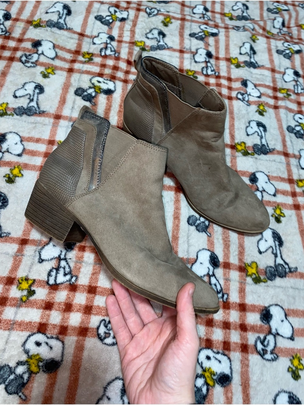 Madden Girl Taupe Suede Ankle Booties